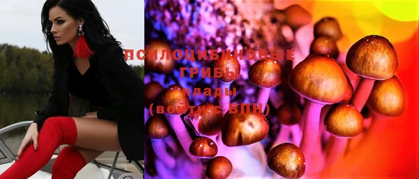 кокс Алексин