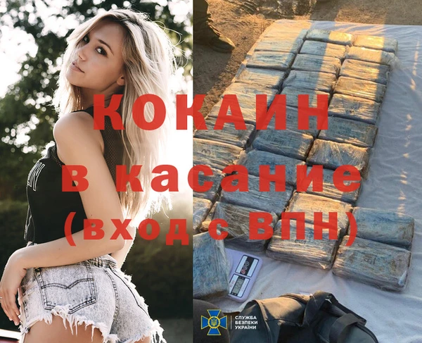 кокс Алексин