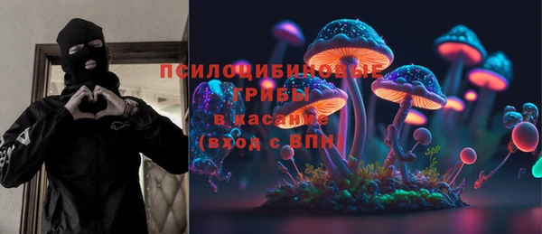кокс Алексин