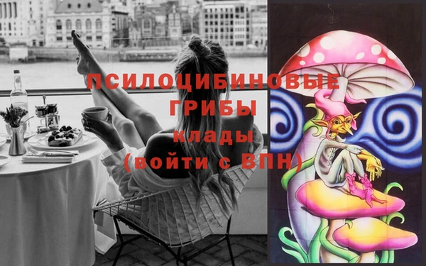 круглые Алексеевка