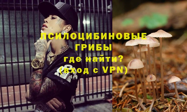 круглые Алексеевка
