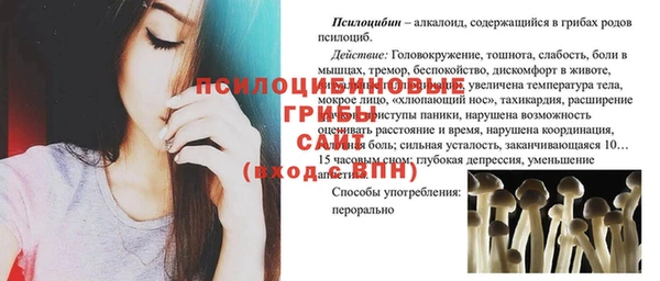 кокс Алексин