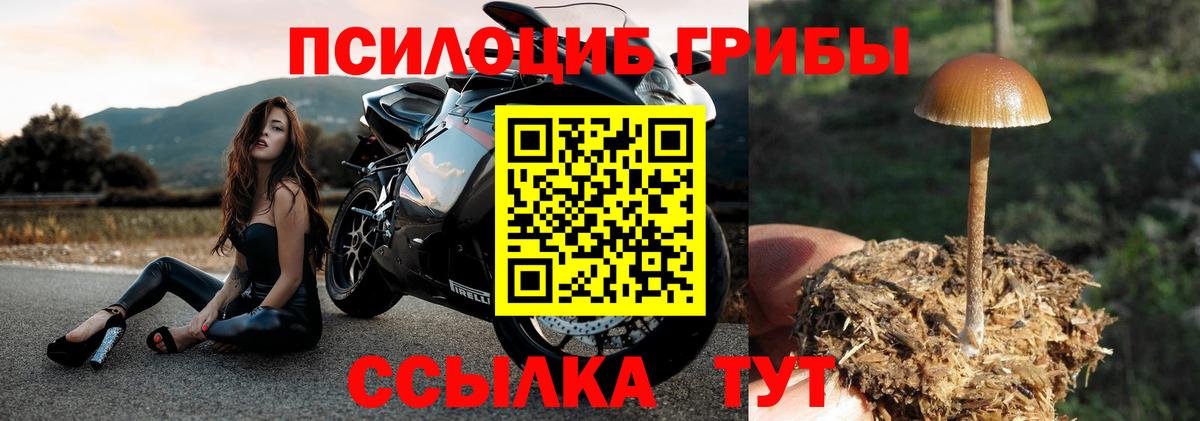 хочу наркоту  Галлюциногенные грибы MAGIC MUSHROOMS  Чусовой  Вход с VPN  Галлюциногенные грибы мицелий 