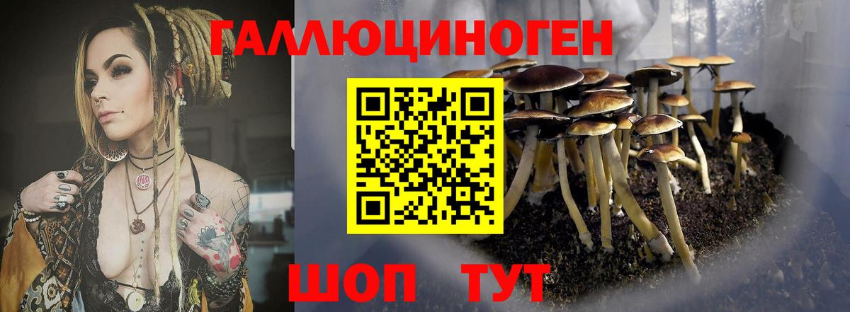 ГАШ  Вход с VPN  МАРИХУАНА  Чусовой  Меф МЯУ МЯУ   Кокаин  Альфа ПВП СК  