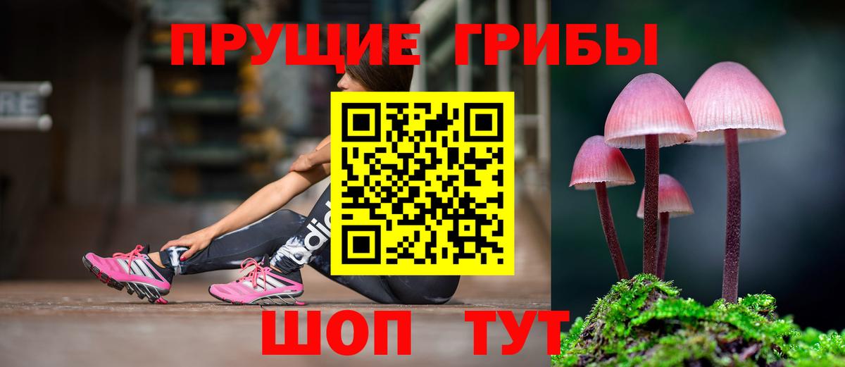Псилоцибиновые грибы мицелий Чусовой